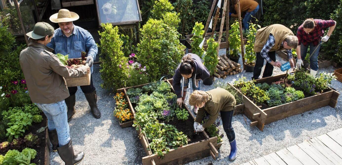 Mitarbeitende im Workplacegarden