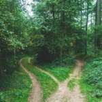 Offboarding von Millennials - Wege trennen sich (c) Jens Lelie / unsplash