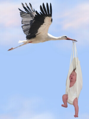 Familienplanung | Storch mit Baby (c) Steffi Pelz / pixelio.de