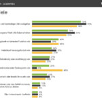 Infografik Karriereziele aus Universum Fachkräfte Studie 2014