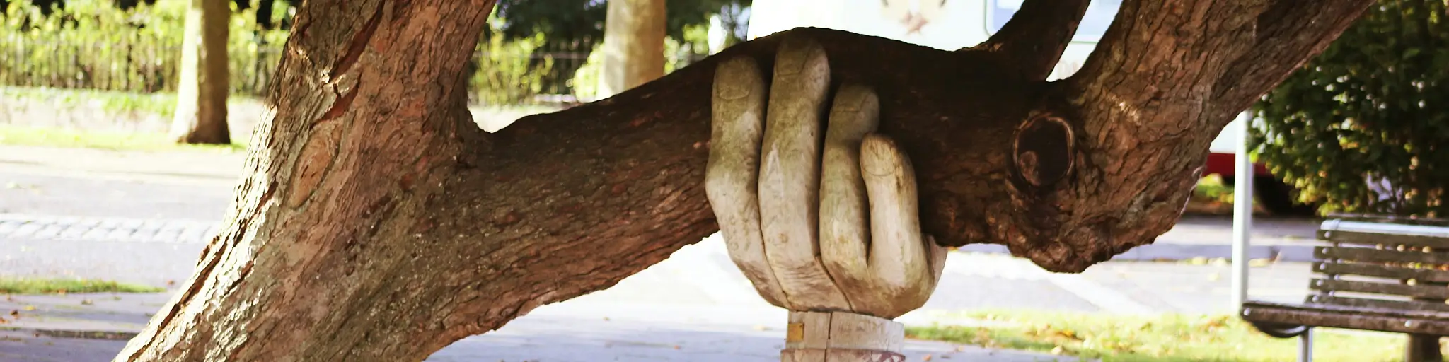 Baum wird von Holzhand gestützt - Sinnbild für die Unterstützungskassen